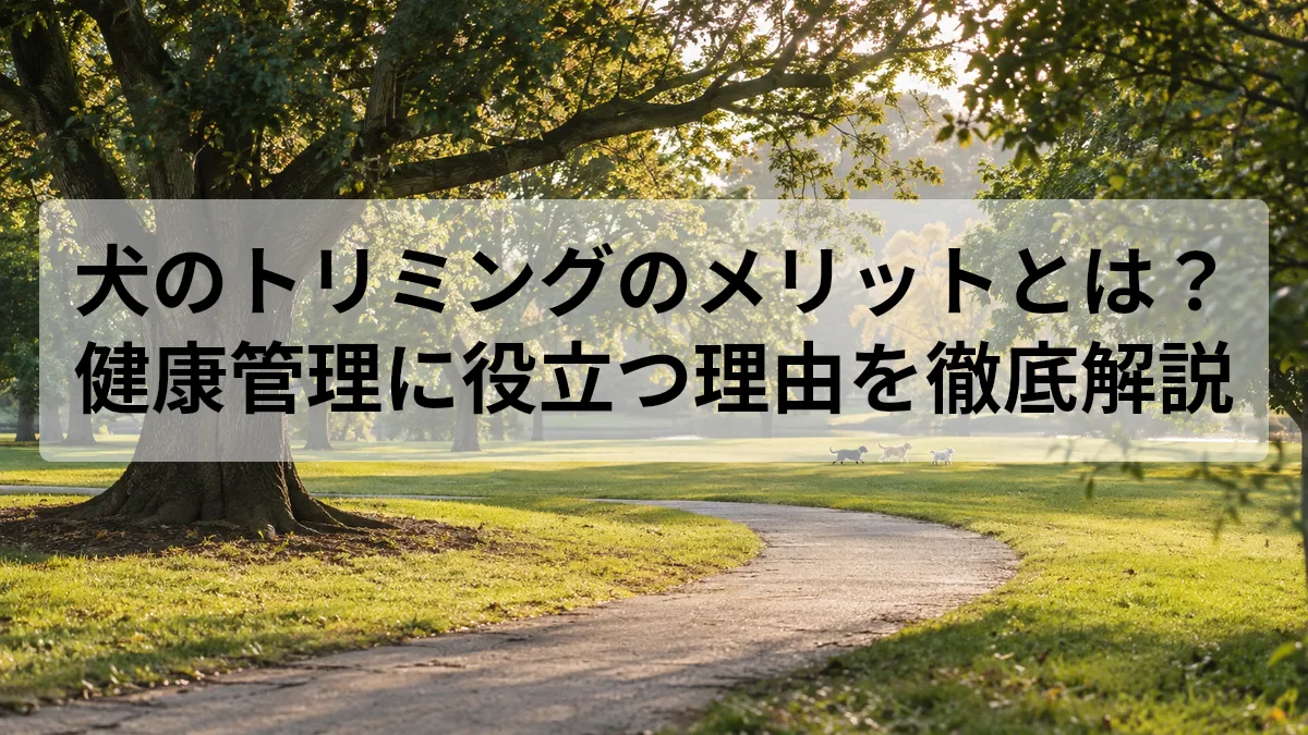 犬 トリミング メリット