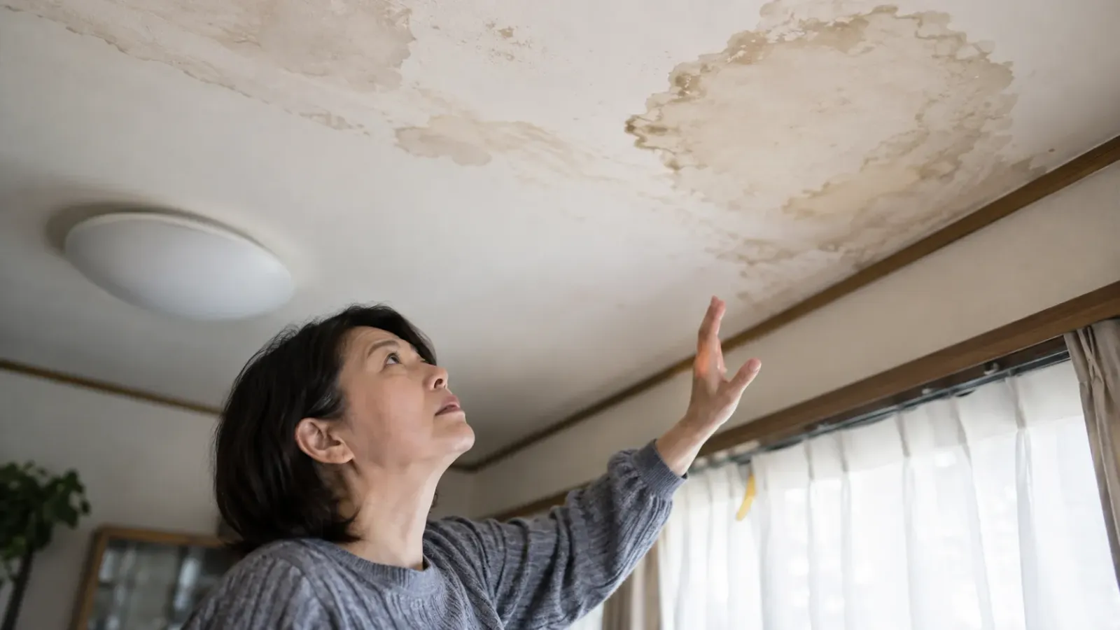 千葉 屋根 雨漏り 修理