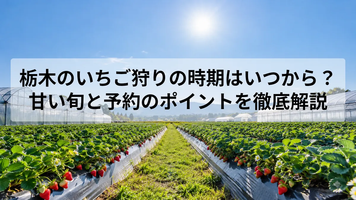 栃木 いちご狩り 時期