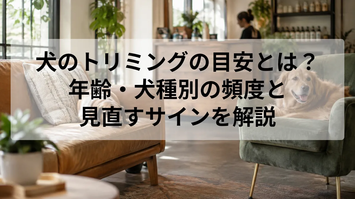犬  トリミング 目安